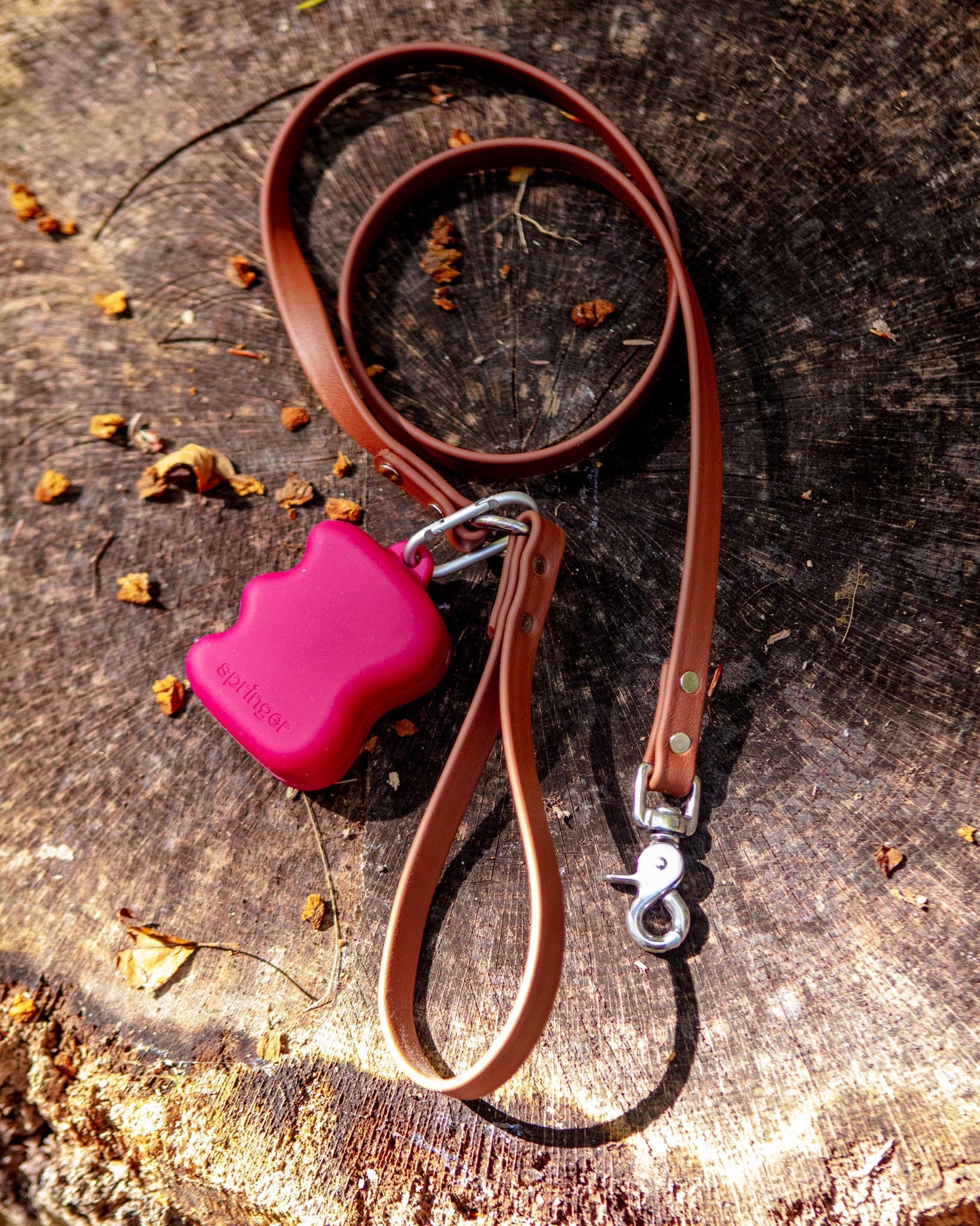 Silicone Dog Treat Dispenser